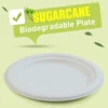 Round Bagasse Plates (7 inch)