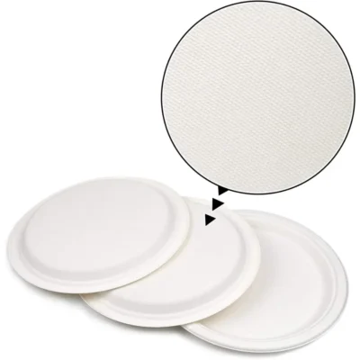 Round Bagasse Plate (9 Inch)