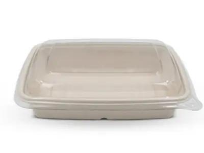 bagasse container & Lid