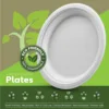 Microwave free and freezer free disposable white sugarcane paper plates Microwave free and freezer free disposable white sugarcane paper plates