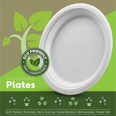 Microwave free and freezer free disposable white sugarcane paper plates Microwave free and freezer free disposable white sugarcane paper plates