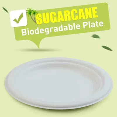 sugarcane biodegradable plates for parties and all occasions sugarcane biodegradable plates for parties and all occasions