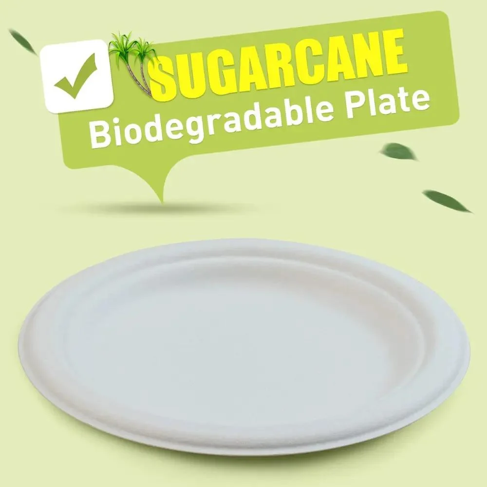 sugarcane biodegradable plates for parties and all occasions