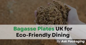 Bagasse Plates UK for eco friendly dinning